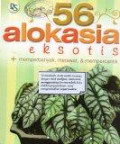 56 Alokasia Eksotis