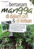 Bertanam Mangga di Dalam Pot dan di Kebun