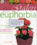 Galeri Euphorbia