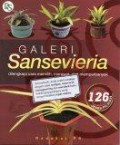 Galeri Sanservieria