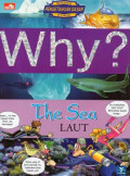 Why? Laut