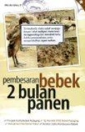 Pembesaran Bebek 2 Bulan Panen