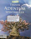 Teknik Adenium Spektakuler