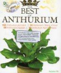 The Best of Anthurium