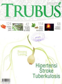 Trubus: Hipertensi, Stroke, Tuberkulosis