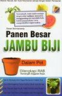 Image of Panen Besar Jambu Biji dalam Pot