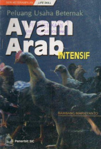 Image of Peluang Usaha Beternak Ayam Arab Intensif