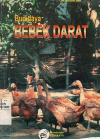 Image of budidaya Bebek Darat